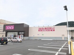 シェーンベルク土器　Ｆの物件内観写真